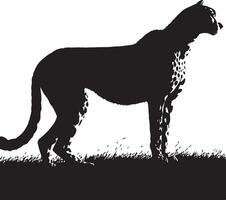 A silhouette of a cheetah standing in the grass vector