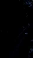 Dynamic Abstract Light Patterns That Move and Change in Mesmerizing Ways Over Time video