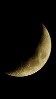 un hermosa creciente Luna esclarecedor el noche cielo en todas sus glorioso preguntarse y encanto video