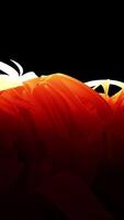 A Vibrant Flowing Fabric in Bright Orange Color against a Dark Background Creating an Artistic View video