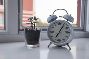 White vintage alarm clock and house plant staying on the window sill. Clock and flower pot near window. photo