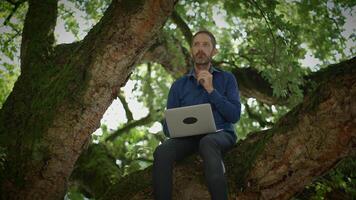A creative professional working on a tree branch embodies the balance of nature and technology video