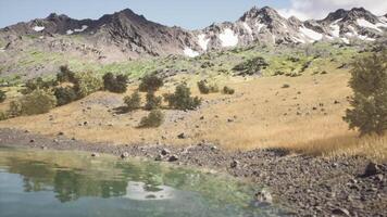 Tranquil lakeside view with mountains and greenery on a clear day video