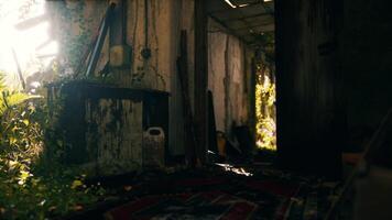 Sunlight streams through a neglected building overgrown with vegetation video