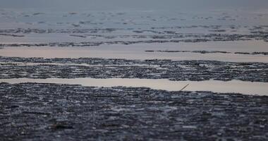 melting of ice on the lake in warm spring weather photo