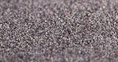 poppy seeds that are used in cooking and dessert production photo