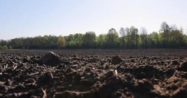 preparing the soil for sowing in spring photo