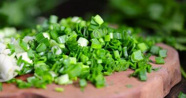 using spices of dill and onion in cooking photo