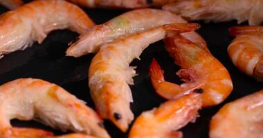 frozen boiled shrimps on a blackboard photo