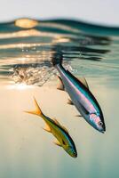 Two fish swimming in the ocean with the sun setting photo