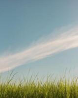 A grassy field with a sky background photo