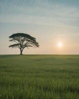 A lone tree stands in the middle of a grassy field photo