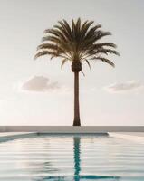 Palm tree in the pool photo