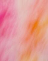 Abstract blurred background of pink, orange and yellow photo