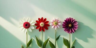 Four different colored flowers are arranged in a row photo