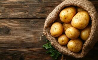 Fresh potatoes in a burlap sack. A burlap sack filled with freshly harvested potatoes rests on a rustic wooden table, showcasing their earthy yellow hue. photo