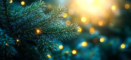 Twinkling lights on dusky evergreens. Softly glowing lights twinkle among evergreen branches during a tranquil dusk, creating a festive and cozy atmosphere. photo
