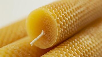 A detailed shot of a large handrolled taper candle made from pure organic beeswax showcasing the fine ribbed texture and slight sheen from the natural wax photo