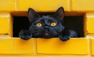 A black cat with yellow eyes is looking out of a window. The cat is looking at something outside, but it is not clear what it is. The image has a calm and peaceful mood. photo
