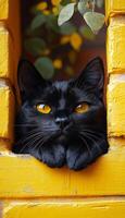 A black cat with yellow eyes is laying on a yellow brick wall. The cat is looking out the window, possibly watching something outside. The scene has a calm and peaceful mood. photo
