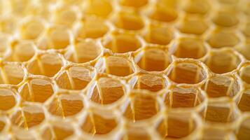 A detailed image shows the fine honeycomb pattern of a beeswax wrap giving a sense of depth and dimension to the material and making it a visually appealing option for food storage photo