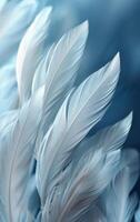 A close up of a flock of white feathers, with the blue background providing a striking contrast. The feathers are arranged in a way that creates a sense of movement and fluidity. photo