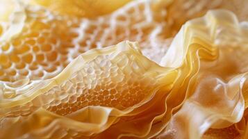 The natural crinkled texture of the beeswax wrap is captured in this closeup photo showing how the wrap easily conforms to the shape of food or containers for a snug fit