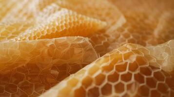 The texture of a beeswax wrap can be seen in this image with a slightly waxy feel and a smooth surface that is perfect for storing food photo