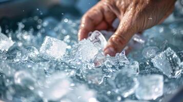 A hand scooping up a handful of ice cubes from a tub of icy water photo