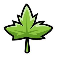 Green maple leaf on white background vector