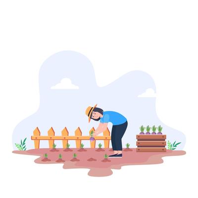 Female farmer harvesting beetroot on allotment while kneeling on the ground