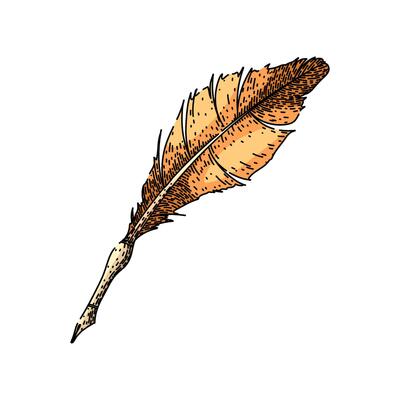 dip quill pen sketch hand drawn