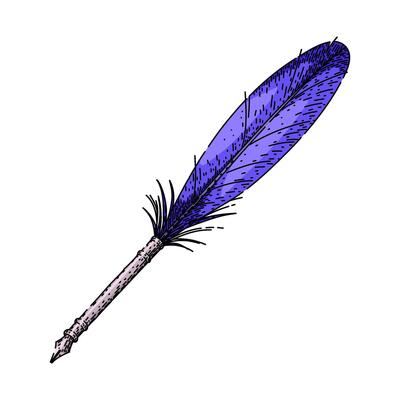 writing quill pen sketch hand drawn