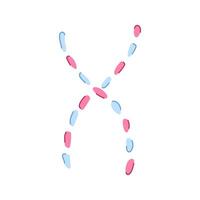 replication dna spiral cartoon illustration vector