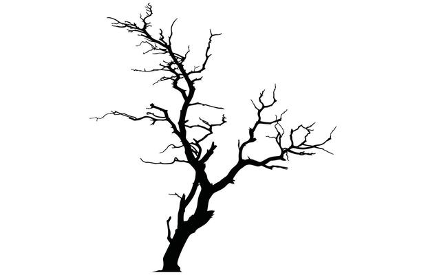 Dead Tree Silhouette - Vintage Nature Scene Stock Design