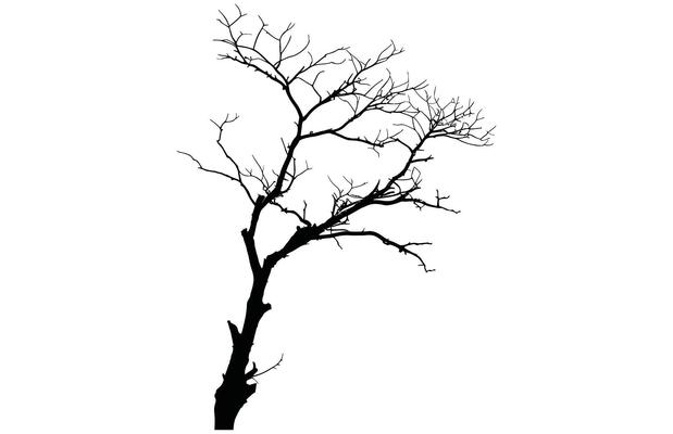Dead Tree Silhouette - Eerie Nature Outline Stock Art