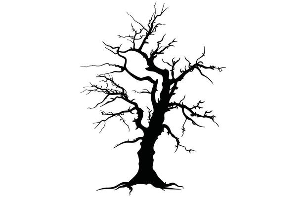 Dead Tree Silhouette - Bare Branches Nature Stock Illustration