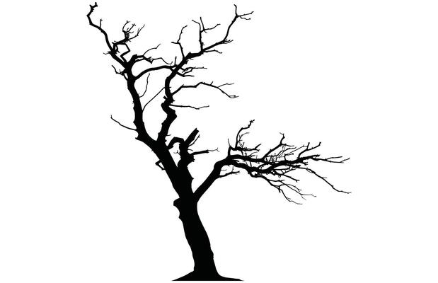 Dead Tree Silhouette - Wild Nature Scene Stock Illustration