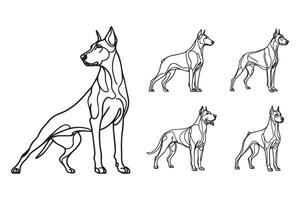 Black and white illustration of a powerful Doberman in a standing position vector