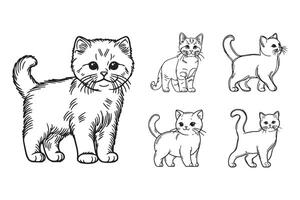 A charming cat is illustrated in a standing pose using line art vector