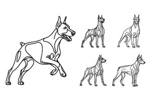 Monochrome artwork showcasing a fierce Doberman in a standing stance vector