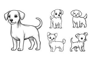 Charming line art showing a standing small dog as a pet vector