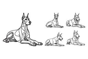 Hand-drawn artwork presents a composed Doberman in a crawling pose vector