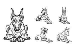 Line art showcases a calm Doberman in a crawling pose vector