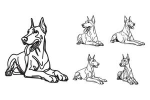 Line art shows a relaxed Doberman dog in a soft crawling manner vector