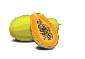 Papaya fruits slice set illustration for design elements. vector