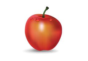 Red apple isolated on white background. Illustration style. vector