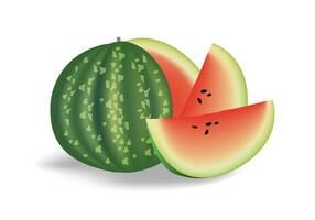 Water melon fruit, red and green color illustration for background design. vector