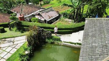 Serene Aerial View of a Traditional Sundanese Pavilion by a Calm Green Pond video