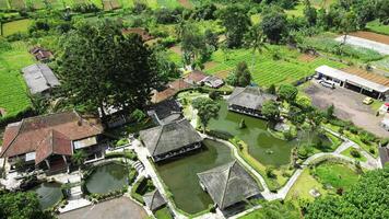 Serene Aerial View of a Traditional Sundanese Pavilion by a Calm Green Pond video